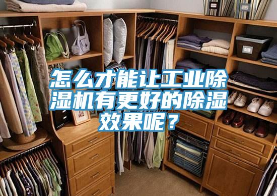怎麽才能讓工業草莓视频污污污污有更好的除濕效果呢？