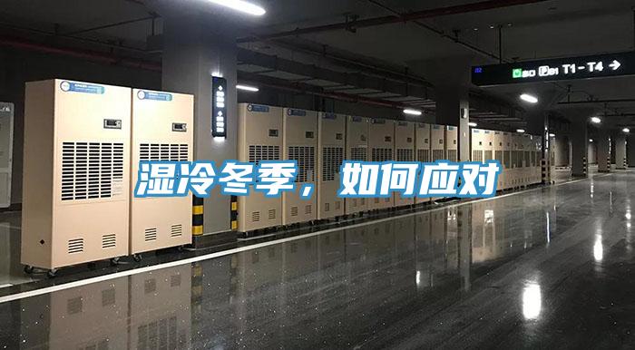 濕冷冬季，如何應對