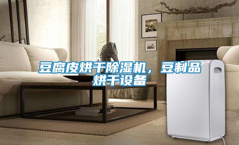 豆腐皮烘幹草莓视频污污污污，豆製品烘幹設備