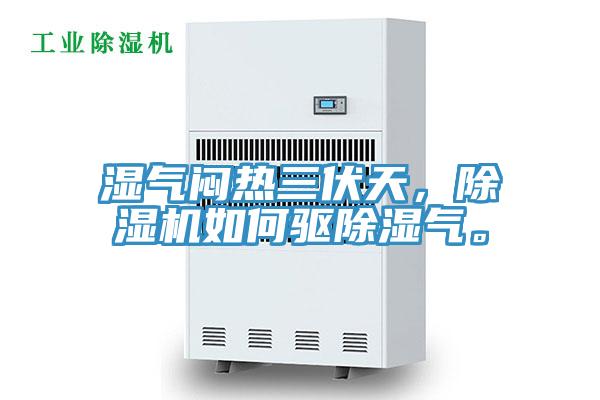 濕氣悶熱三伏天，草莓视频污污污污如何驅除濕氣。