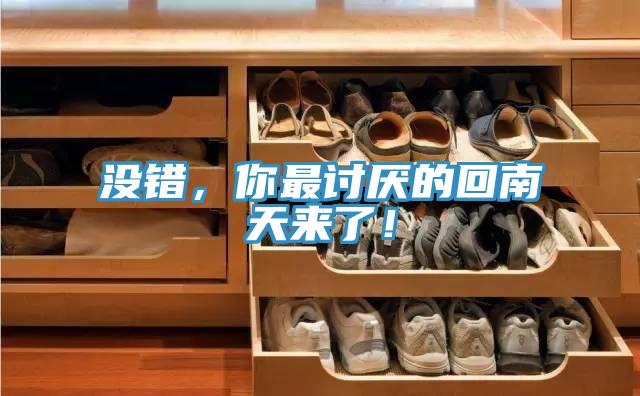 沒錯，你最討厭的回南天來了！