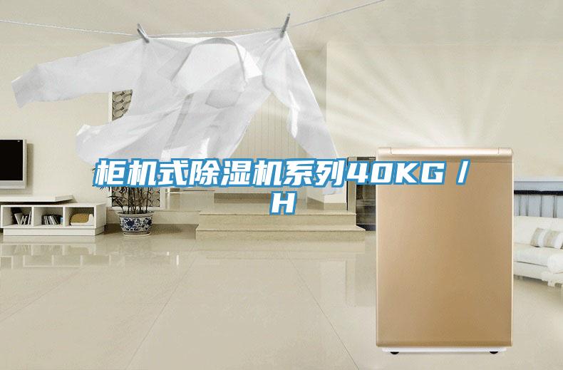 櫃機式草莓视频污污污污係列40KG／H