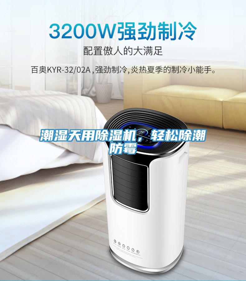 潮濕天用草莓视频污污污污，輕鬆除潮防黴