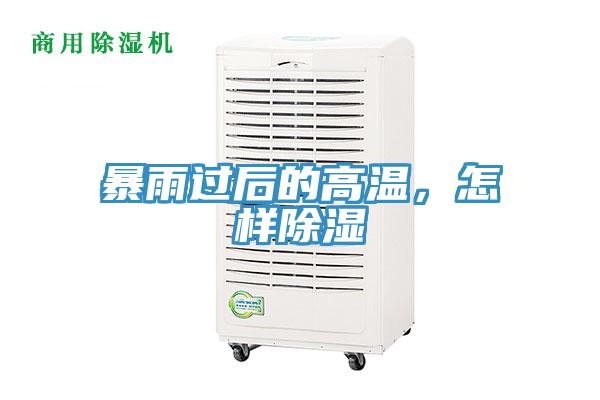 暴雨過後的高溫，怎樣除濕