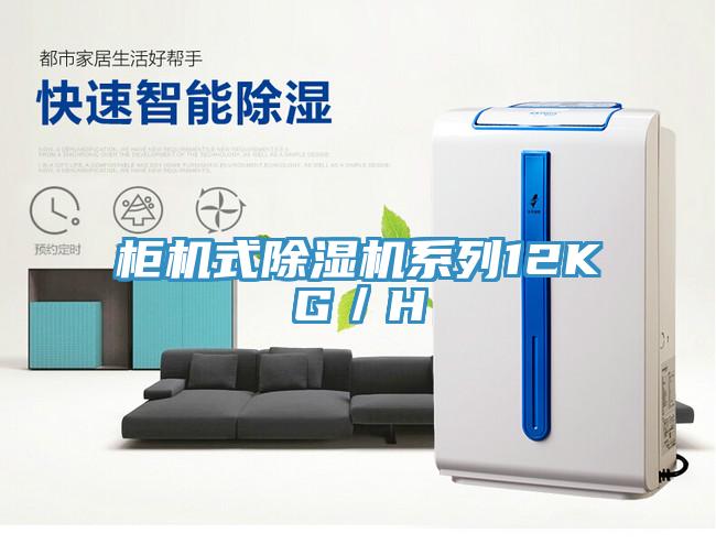 櫃機式草莓视频污污污污係列12KG／H
