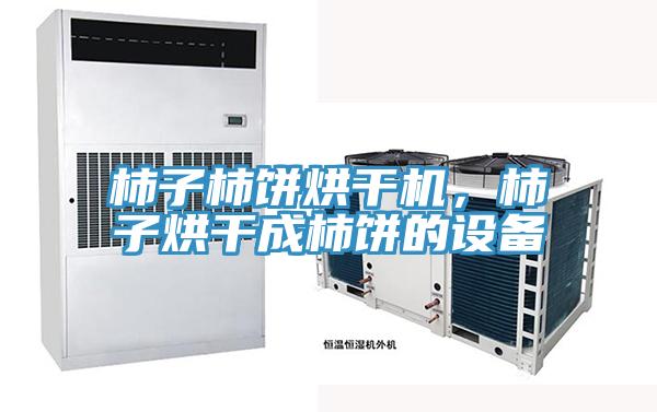 柿子柿餅烘幹機，柿子烘幹成柿餅的設備