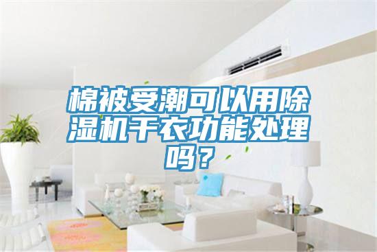 棉被受潮可以用草莓视频污污污污幹衣功能處理嗎？