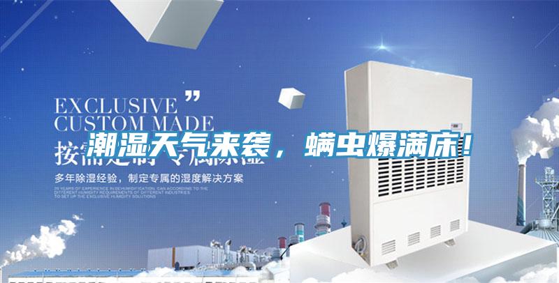 潮濕天氣來襲，蟎蟲爆滿床！