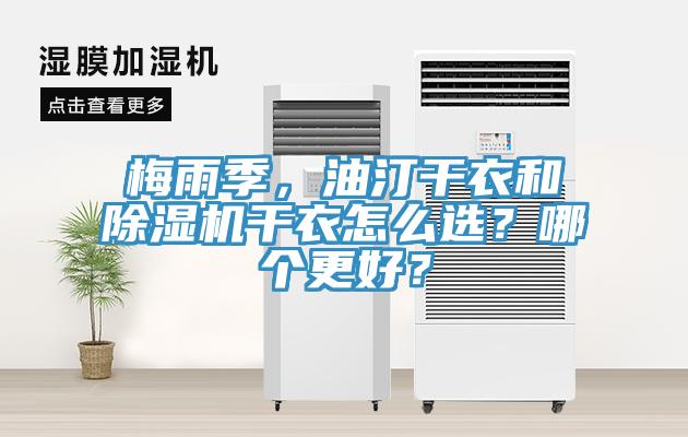 梅雨季，油汀幹衣和草莓视频污污污污幹衣怎麽選？哪個更好？