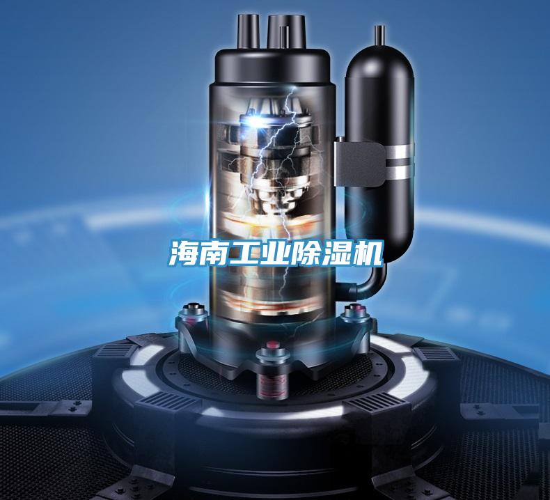 海南工業草莓视频污污污污