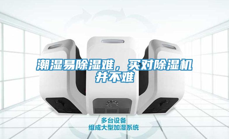潮濕易除濕難，買對草莓视频污污污污並不難