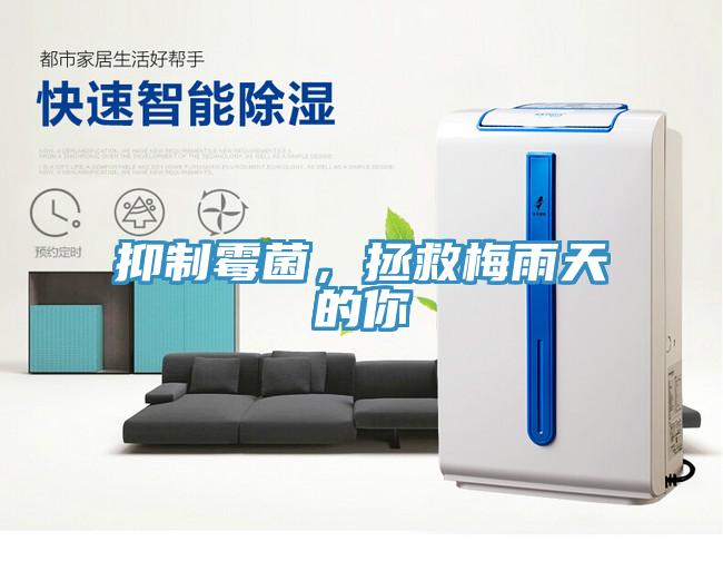 抑製黴菌，拯救梅雨天的你