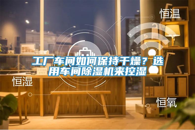 工廠車間如何保持幹燥？選用車間草莓视频污污污污來控濕