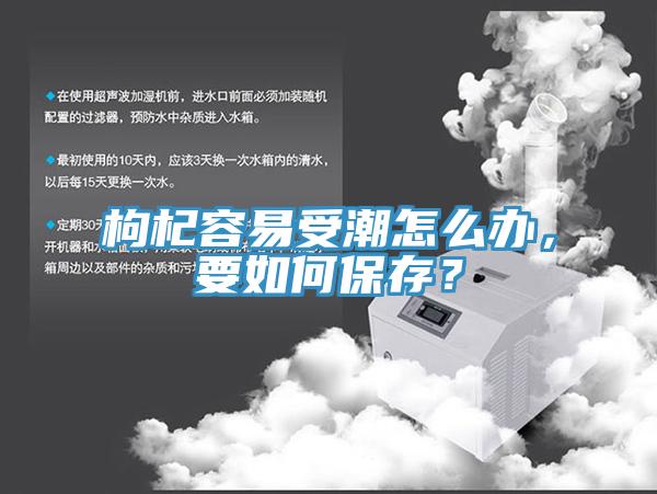 枸杞容易受潮怎麽辦，要如何保存？