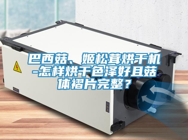 巴西菇、姬鬆茸烘幹機-怎樣烘幹色澤好且菇體褶片完整？
