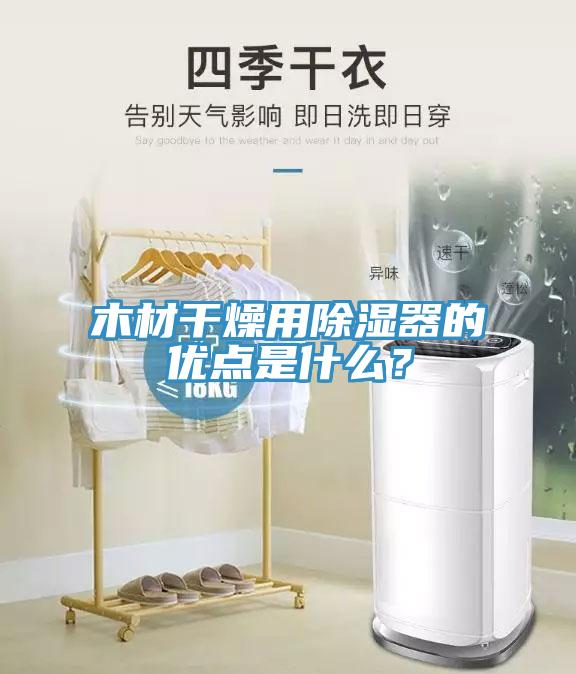 木材幹燥用除濕器的優點是什麽？
