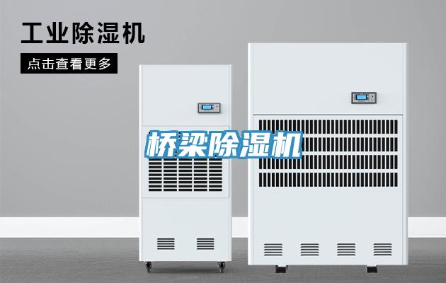 橋梁草莓视频污污污污