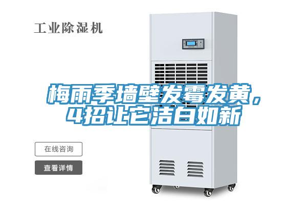 梅雨季牆壁發黴發黃，4招讓它潔白如新