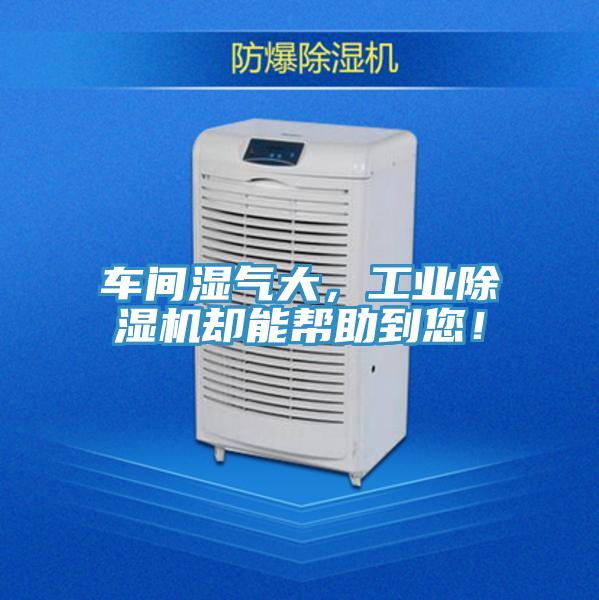 車間濕氣大，工業草莓视频污污污污卻能幫助到您！
