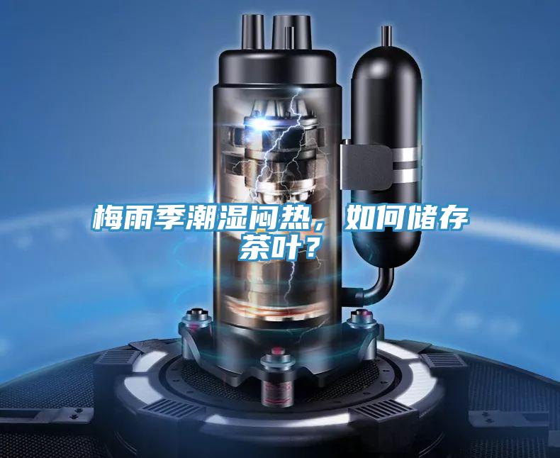梅雨季潮濕悶熱，如何儲存茶葉？