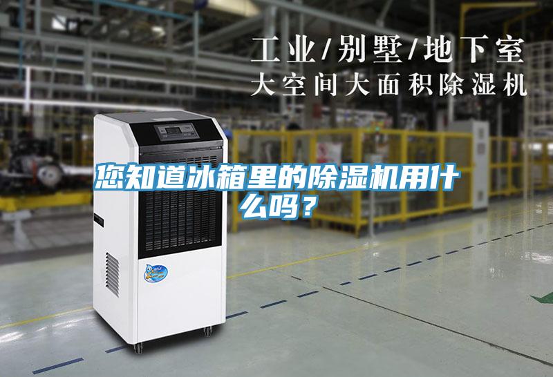 您知道冰箱裏的草莓视频污污污污用什麽嗎？