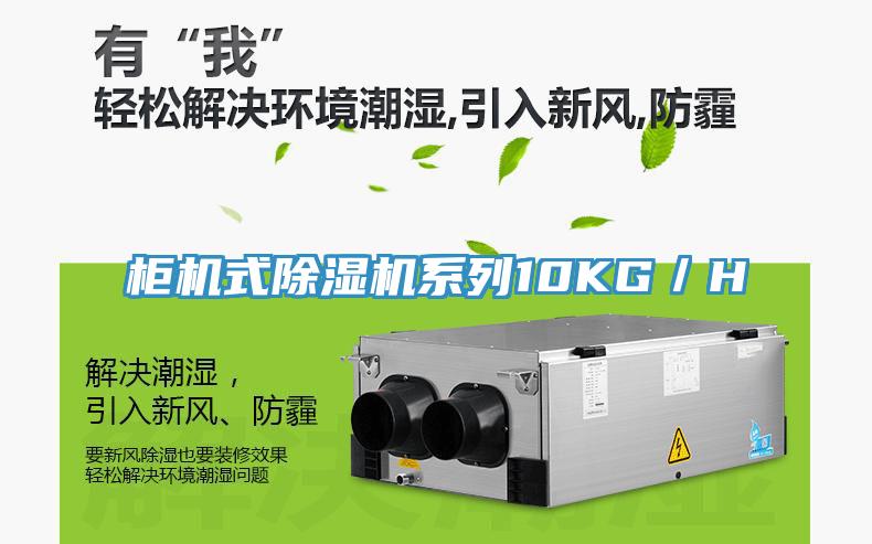 櫃機式草莓视频污污污污係列10KG／H