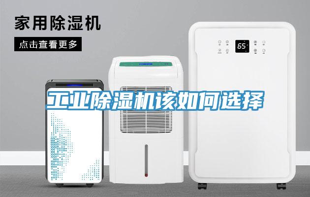 工業草莓视频污污污污該如何選擇