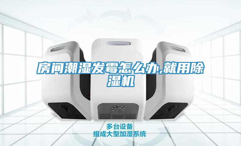 房間潮濕發黴怎麽辦,就用草莓视频污污污污