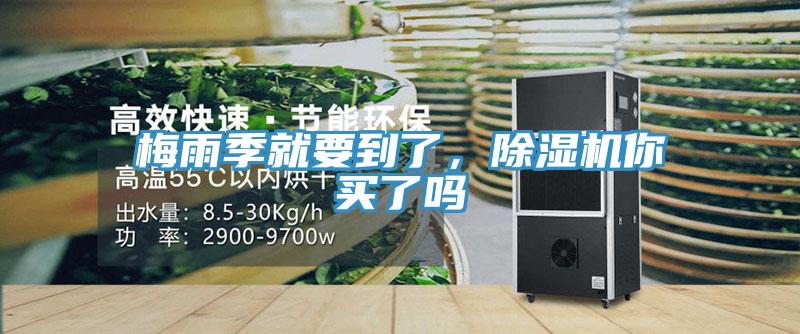 梅雨季就要到了，草莓视频污污污污你買了嗎
