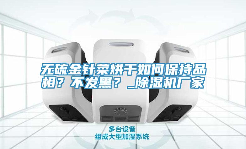 無硫金針菜烘幹如何保持品相？不發黑？_草莓视频污污污污廠家