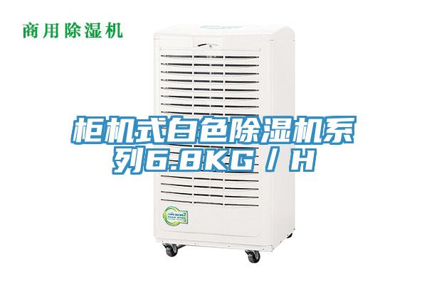 櫃機式白色草莓视频污污污污係列6.8KG／H