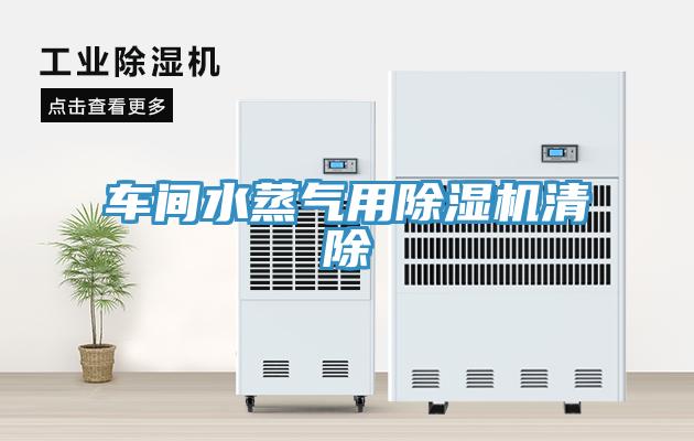 車間水蒸氣用草莓视频污污污污清除