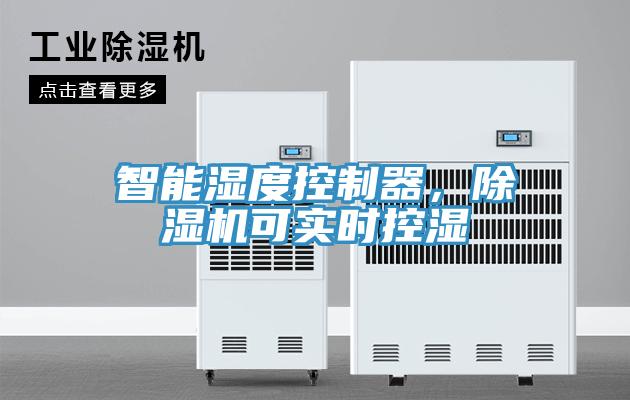智能濕度控製器，草莓视频污污污污可實時控濕