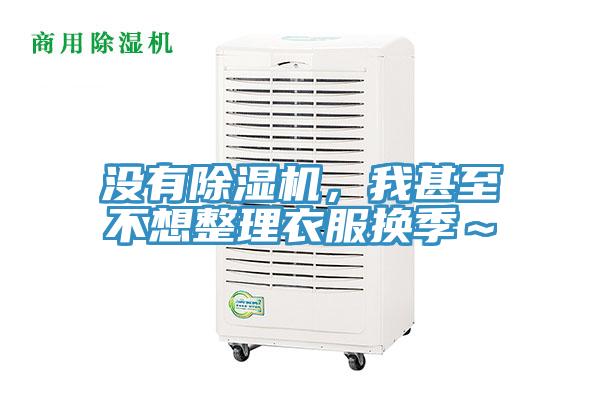 沒有草莓视频污污污污，我甚至不想整理衣服換季～