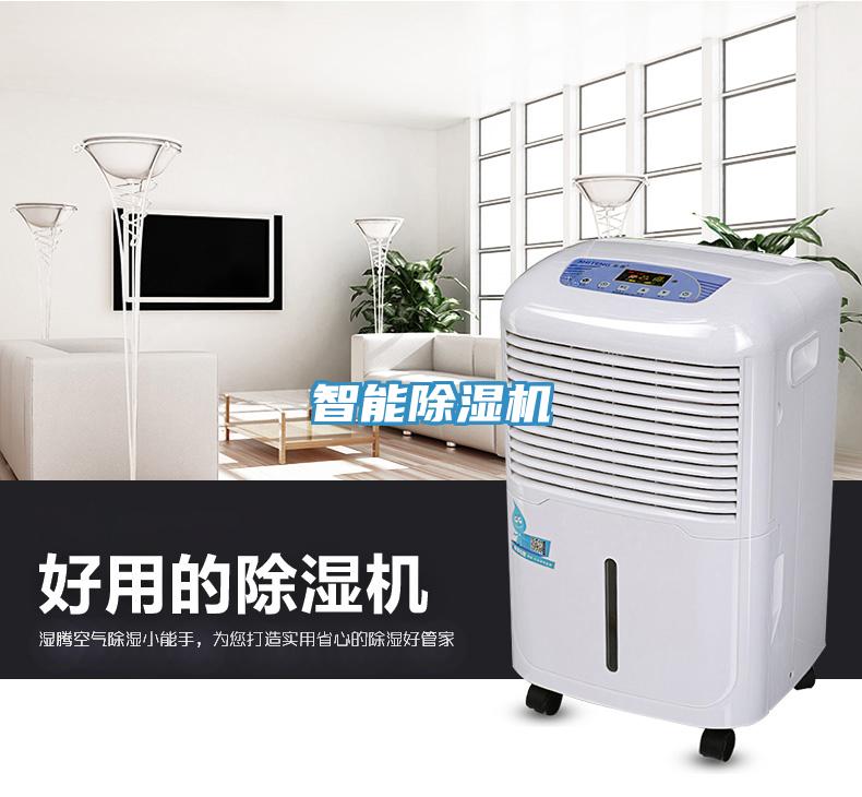 智能草莓视频污污污污