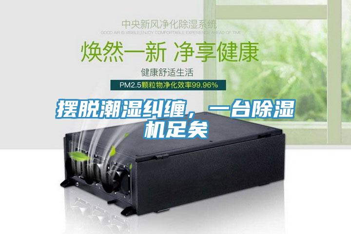 擺脫潮濕糾纏，一台草莓视频污污污污足矣