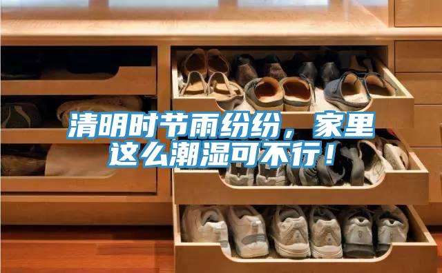 清明時節雨紛紛，家裏這麽潮濕可不行！