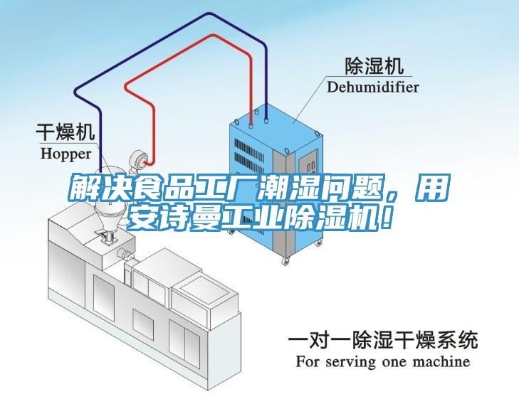 解決食品工廠潮濕問題，用草莓视频黄污下载工業草莓视频污污污污！