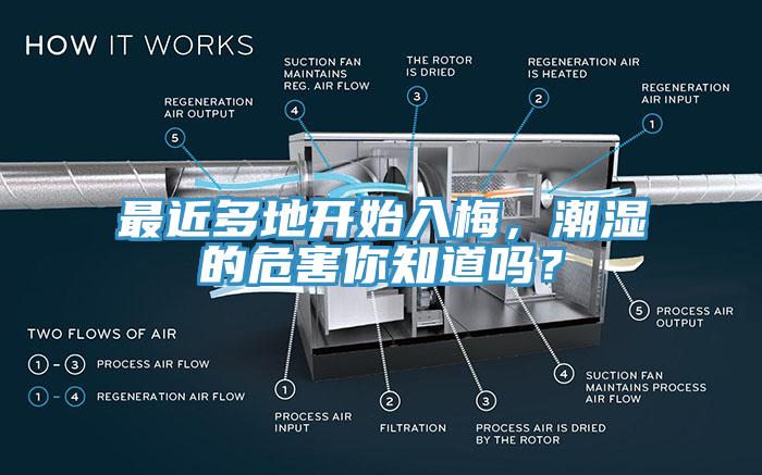 最近多地開始入梅，潮濕的危害你知道嗎？