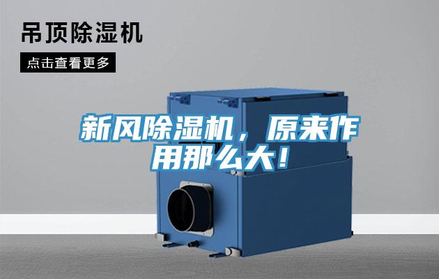 新風草莓视频污污污污，原來作用那麽大！