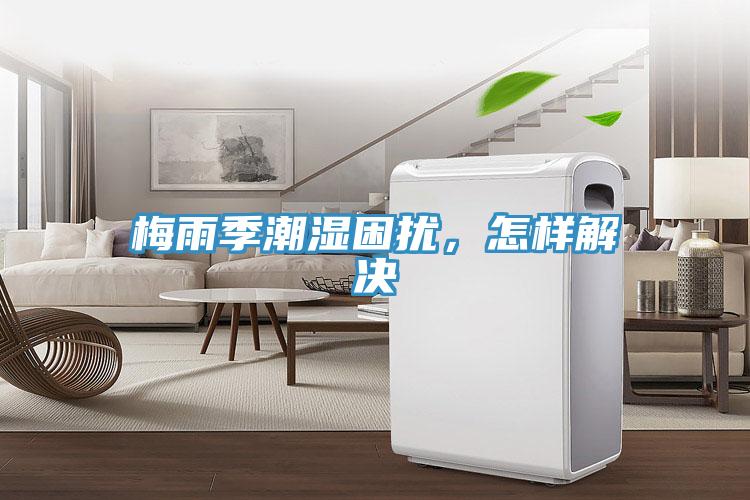 梅雨季潮濕困擾，怎樣解決