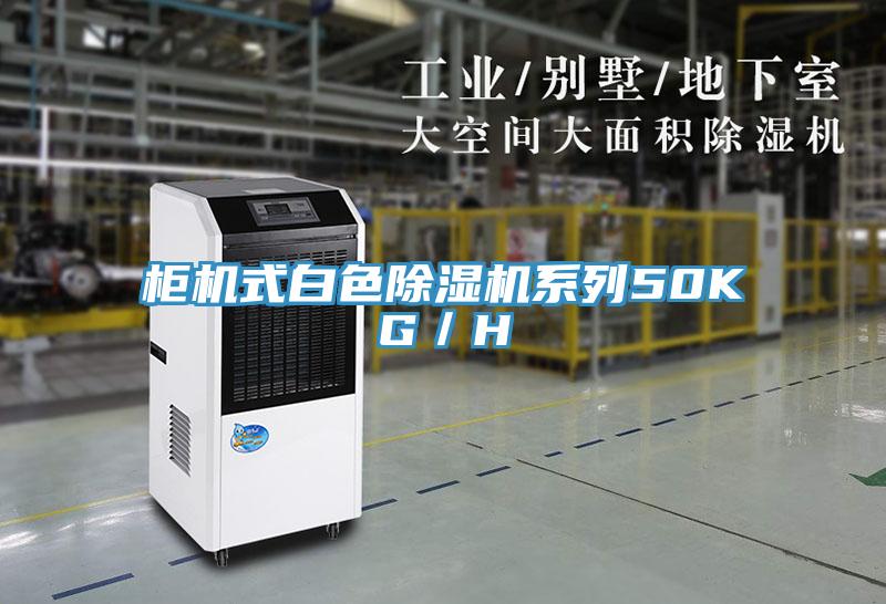 櫃機式白色草莓视频污污污污係列50KG／H