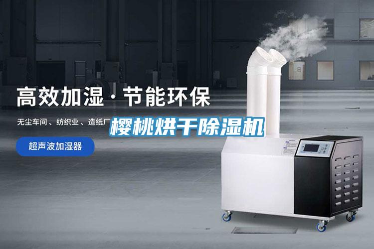櫻桃烘幹草莓视频污污污污