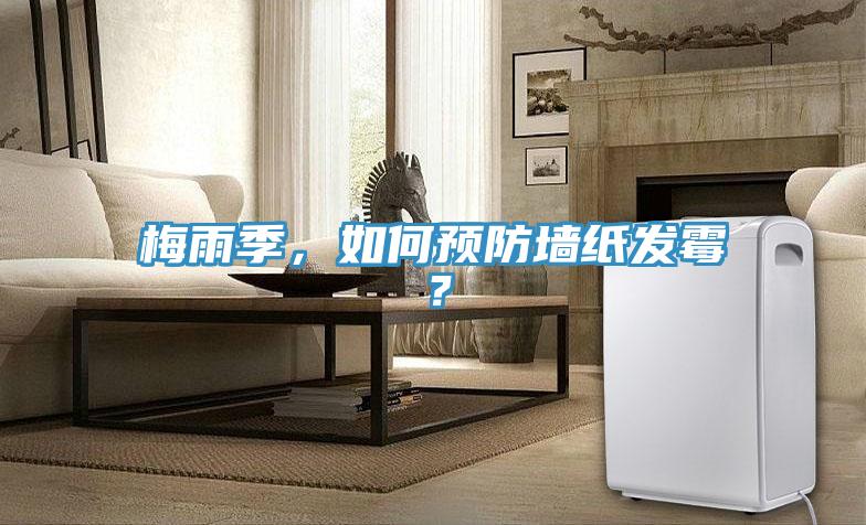 梅雨季，如何預防牆紙發黴？