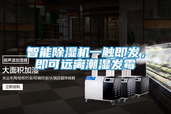 智能草莓视频污污污污一觸即發，即可遠離潮濕發黴