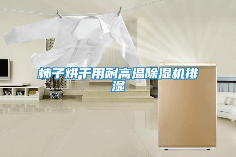 柿子烘幹用耐高溫草莓视频污污污污排濕