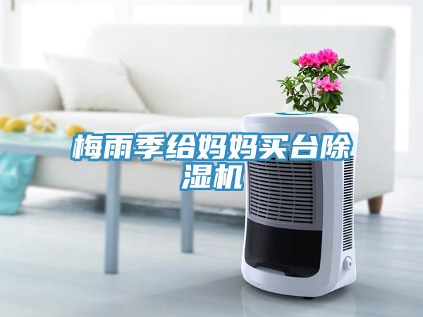 梅雨季給媽媽買台草莓视频污污污污