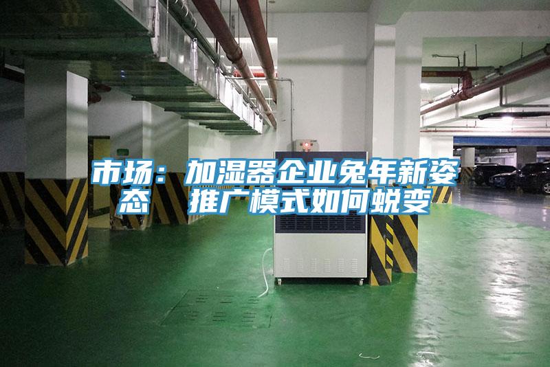 市場：加濕器企業兔年新姿態  推廣模式如何蛻變