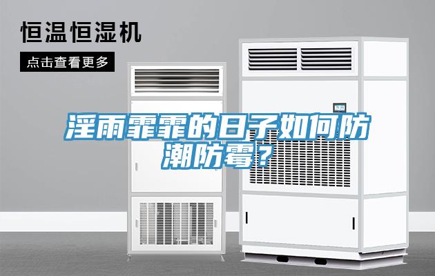 淫雨霏霏的日子如何防潮防黴？