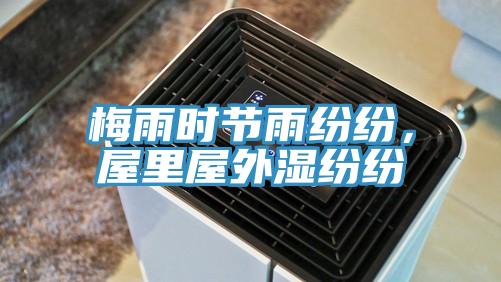 梅雨時節雨紛紛，屋裏屋外濕紛紛
